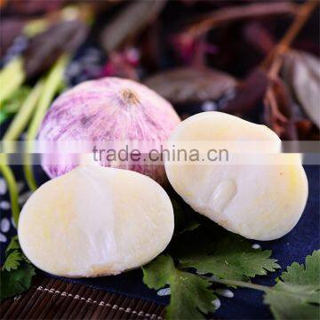 2016 New Crop Bulk Garlic With Competitive Price photo-4