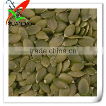 2014 Inner Mongolia Pumpkin Seed Kernels