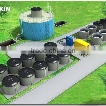 medium size anaerobic digestion system for biogas project