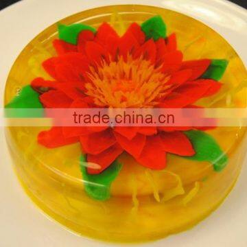 Agar Agar Powder produced Vietnamese natural seaweed