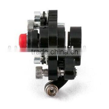 Rear Disc Brake Assembly