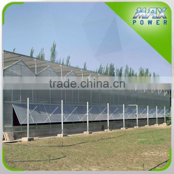 PC greenhouse with galvanized structure single span with automatic ventilation