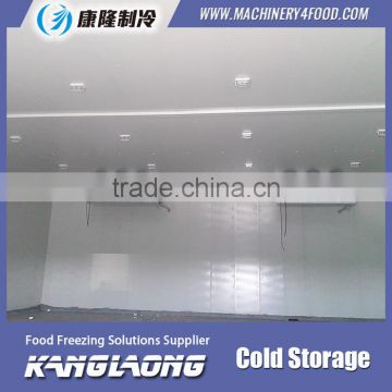 Good Quality New Technology Walk In Freezer Chiller Room