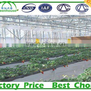 Commercial climate control Strawberry Greenhouse with Thermal system