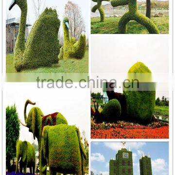 2016 New Design Artificial Green Sculpture for Garden Manufacturer