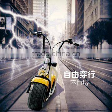 2017 Hot sale 2 wheels seev citycoco warranty 1 year 1000W fat tyre citycoco electric scooter for sale