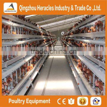 High Quality Cheap Poultry Cage Layer Chicken Used Chicken Cage photo-6