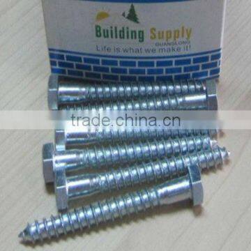 Hexagon Head Self Tapping Screw from Guangzhou Supplier