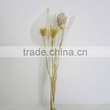 reed diffuser with rattan sticks escrima rattan sticks