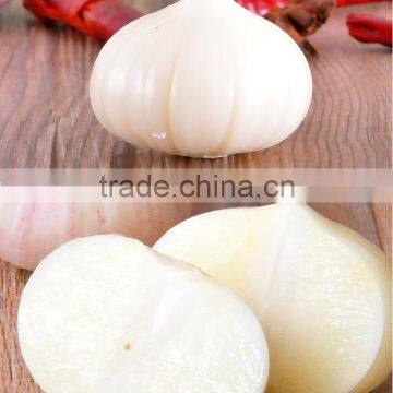 Wholesale Chinese Purple and White Garlic photo-3