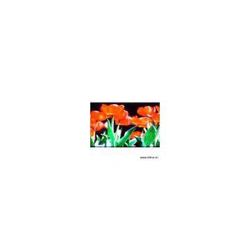 Sell RGB/Full Color LED Display Screen