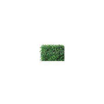 Outdoor Rose Plants Green Or Red Artificial Hedge Fence For Hotel Garden