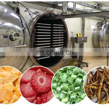 Avocado lyophilization machine fruit vacuum freeze dryer