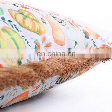 Hot Selling Chair Sofa Comfortable Cushions, Indoor/Outdoor Decorative Pillow photo-5