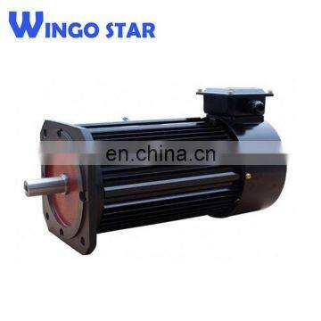 ce Approved Electric Motor