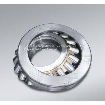 RLS8 Bearing