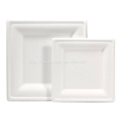Eco friendly Bagasse ??20 x 20 x 1.5 cm Disposable Dishes, Sugar Cane White Square Bleached Plate Party Plates
