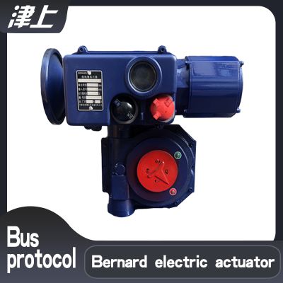 Tianjin Bernard RS485 bus protocol B+RS250/K28Z part back to transition electric actuator