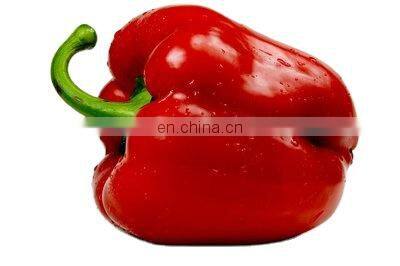 Frozen Red Pepper Frozen Bell Pepper With Good Quality and Moderate Price in China