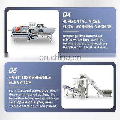 Automatic Fruit And Vegetable Salad Cutting Washing Production Line photo-3