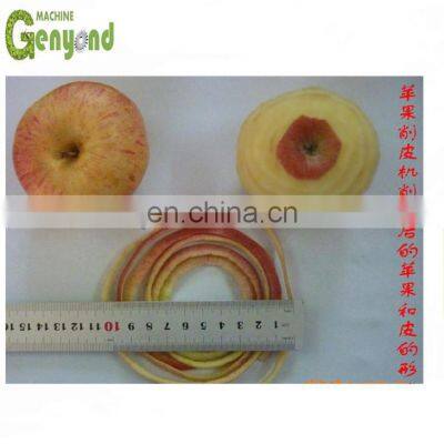 small capacity apple chips drying processing plant
