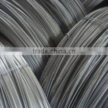 5.5mm SAE1008B Steel wire rod