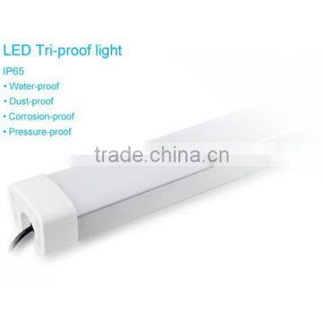 ex Proof Lighting Fixture Dailux-60w photo-2