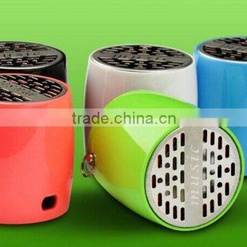 Portable audio professional musical speaker