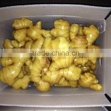 China Organic Ginger Dried Ginger Supplier