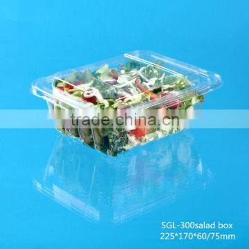 Popular Disposable Plastic Salad and Food Packing Container with Separate Lid