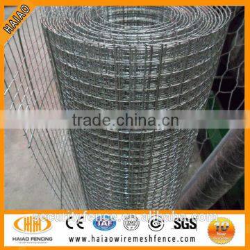 Hot sale high quality 10year'experience manufacturer stainless steel welded wire mesh