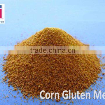 Maize Gluten Meal / Corn Meal Animal Feed