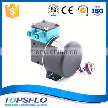 Diaphragm liquid corrosion resistance brushless dc small stable flow liquid pump for fireplace