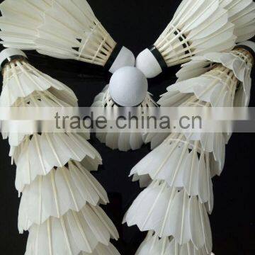 2016 Hot Sales Grade C Goose Feather Badminton Shuttlecock in Malaysia photo-2
