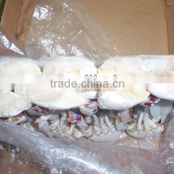 Frozen Half Cut Crab Cutting Swimming Crab photo-2