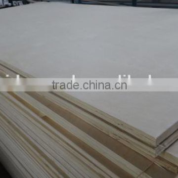 FSC birch plywood