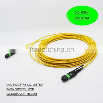 High quality SM MTP 12 cores patch cord from factory