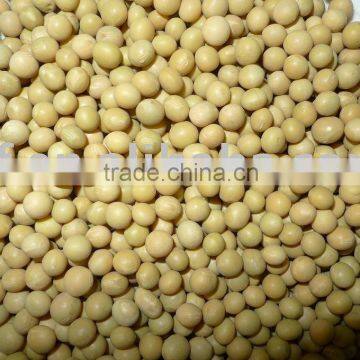 Non-Gmo soybeans new crop