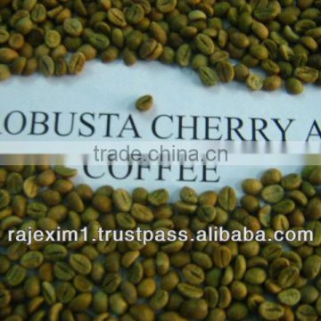 fresh robusta coffee beans