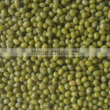 Top quality green mung beans