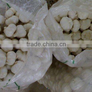 Chinese Best Garlic