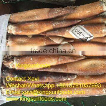 Wholesale Illex Squid With High Quality,300/400g