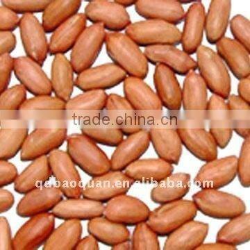 Chinese New Crop Peanuts Kernels
