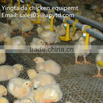 Automatic chicken farming equipment for Broiler and Breeder