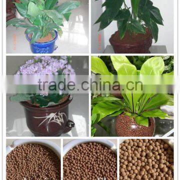 garden plants granule soil