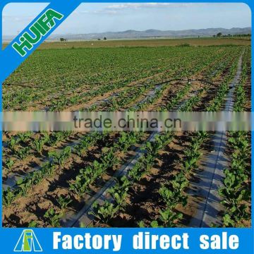 Water Saving Low Cost Drip Agricultural Irrigation Projects