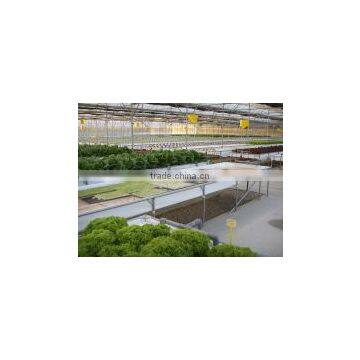 Korean Greenhouse photo-6