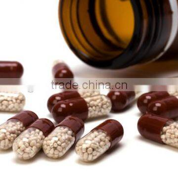 NJP-800C GMP Standard Fully Automatic Capsule Filling Machine /empty Hard Capsules Filling Machine photo-5