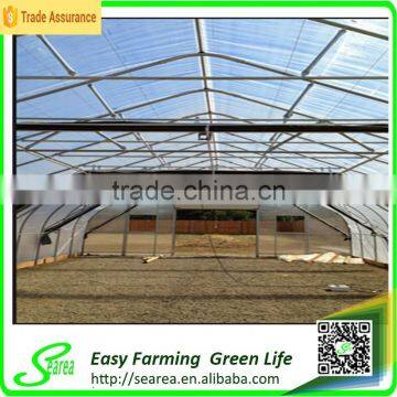 Low Cost Plastic Agriculture Greenhouse photo-4