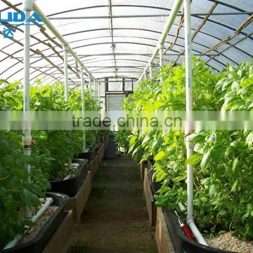 Blackout Vegetable Greenhouse With Steel Frame